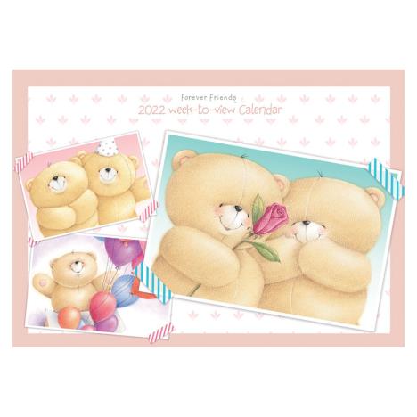 A4 Forever Friends Week-to-View Family Organiser 2022